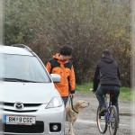 Dachs BH-Straßenteil: Verkehrstauglichkeit